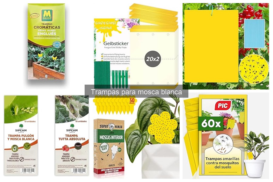 Tipos de trampas para mosca blanca: características y usos