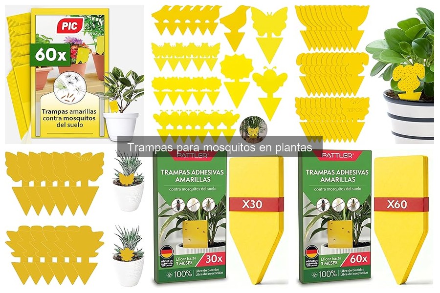 Tipos de trampas para mosquitos en plantas: guía completa