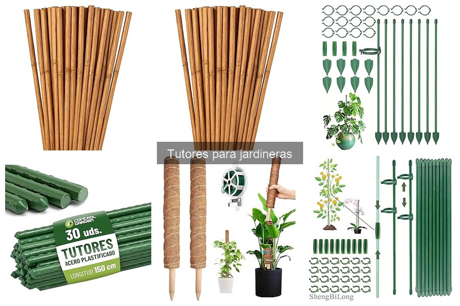 Tipos de tutores para jardineras y su uso eficiente
