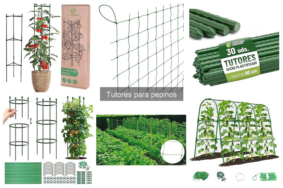 Tipos de tutores para pepinos: guía comparativa