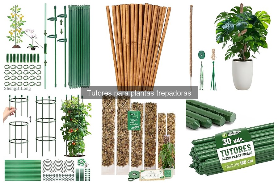 Tipos de Tutores para Plantas Trepadoras: Guía Completa