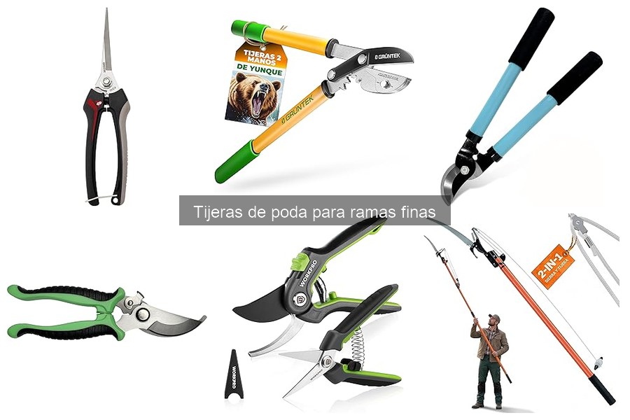 Tips para podar ramas finas de plantas y cuidar tu huerto