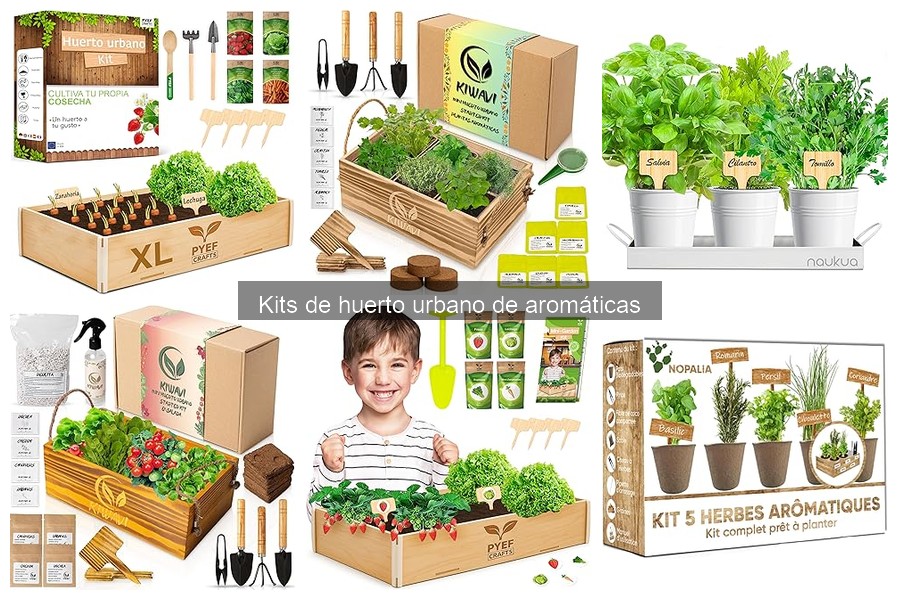 Todo sobre kits de huerto urbano de aromáticas