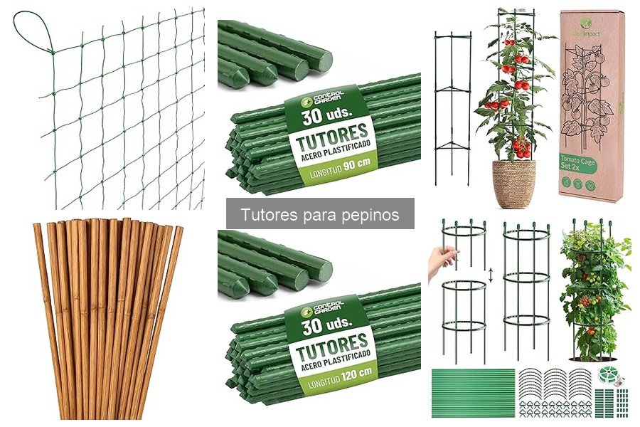 Todo sobre tutores para pepinos: funciones y beneficios