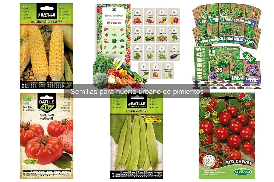 Ventajas de cultivar pimientos en un huerto urbano