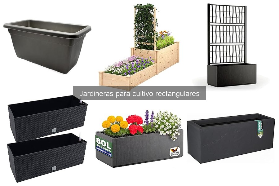 Ventajas de Jardineras Rectangulares en Cultivo Urbano