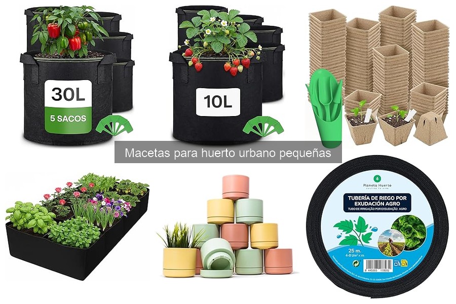 Ventajas de las macetas pequeñas en huertos urbanos