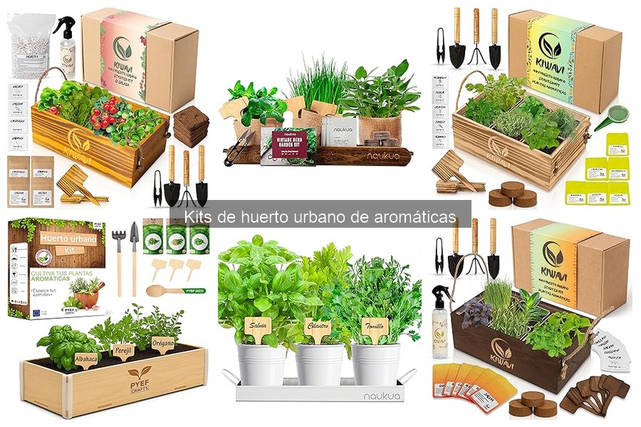 Ventajas de los Kits de Huerto Urbano de Aromáticas