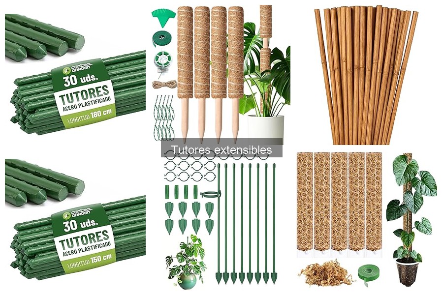 Ventajas de los tutores extensibles para tu huerto urbano