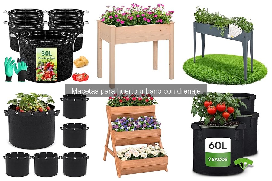 Ventajas de Macetas con Drenaje para Cultivos en Casa
