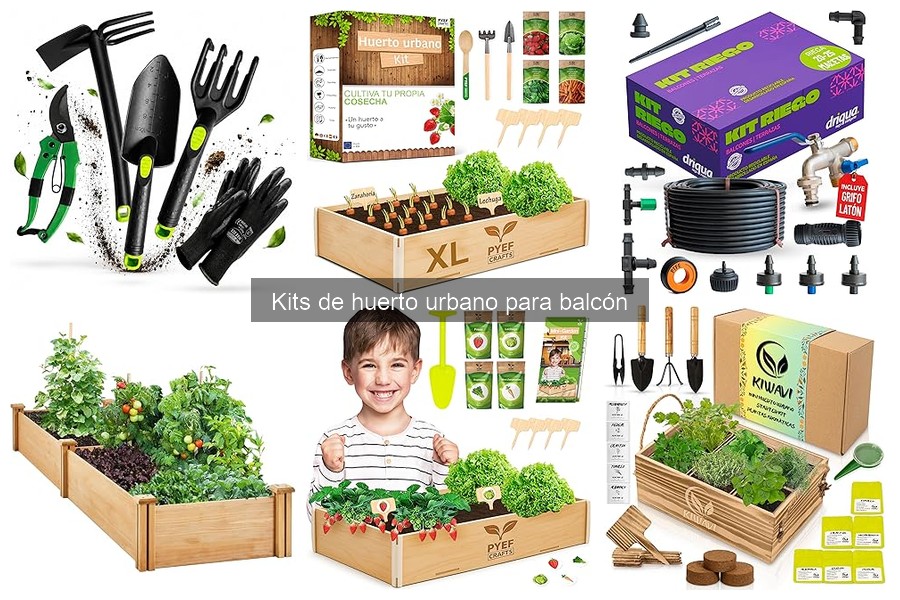 Ventajas de un kit de huerto urbano para balcones pequeños