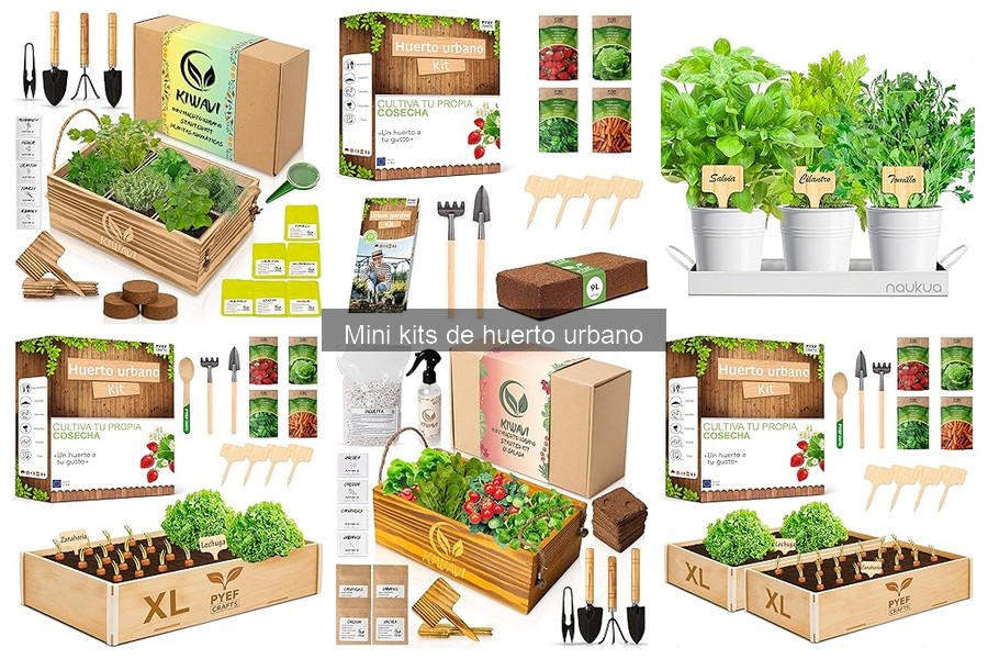 Ventajas de un Mini Kit de Huerto Urbano para Cultivar en Casa