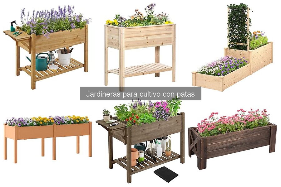 Ventajas de usar jardineras con patas en el cultivo urbano