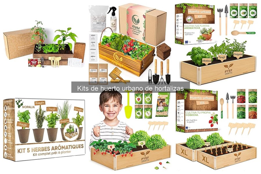 Ventajas de usar kits de huerto urbano para cultivar fácil