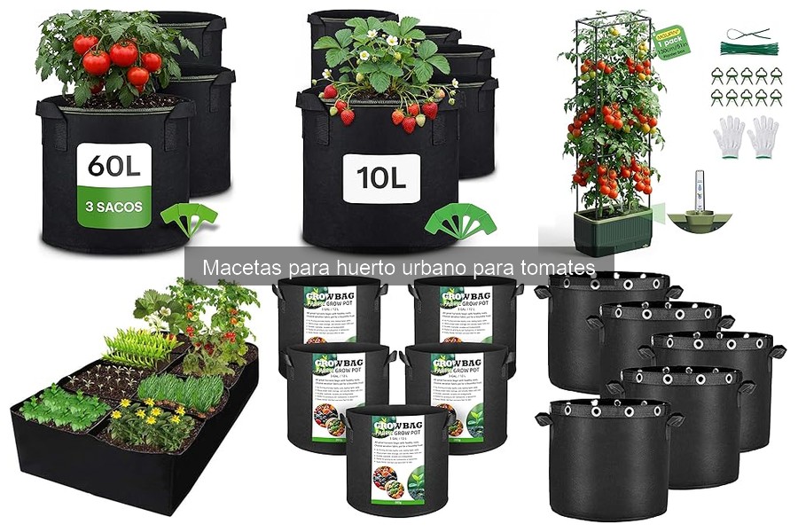 Ventajas de usar macetas para cultivar tomates en casa
