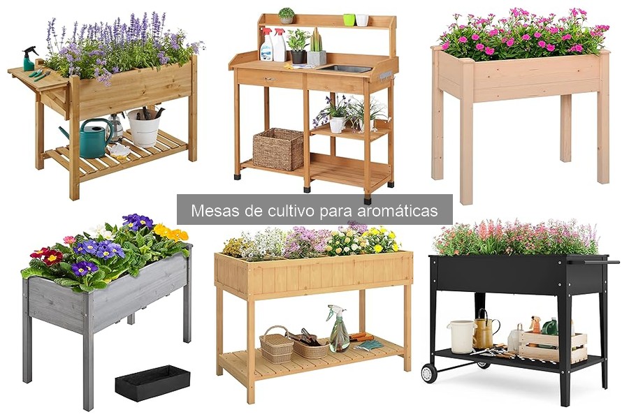 Ventajas de Usar Mesas de Cultivo para Aromáticas