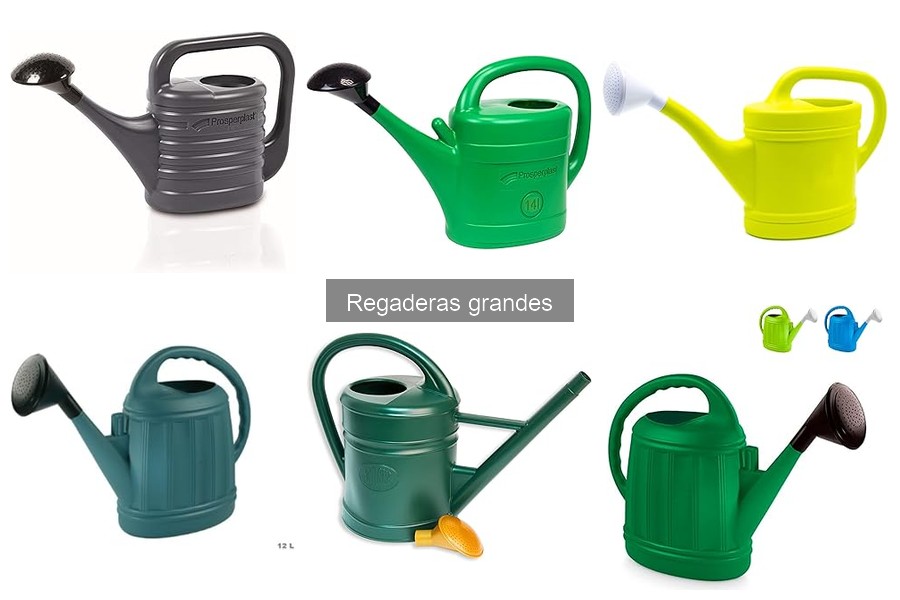 Ventajas de usar regaderas grandes en el cultivo en casa