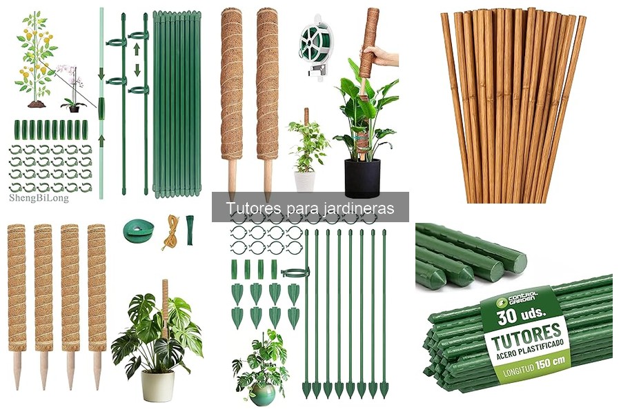 Ventajas de Usar Tutores en Jardineras: Beneficios Clave