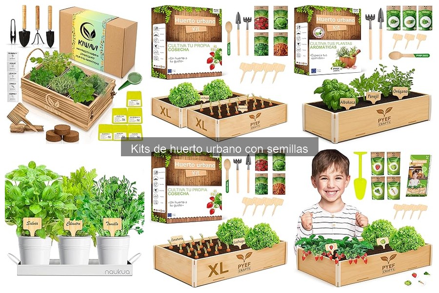 Ventajas de Usar un Kit de Huerto Urbano en Casa