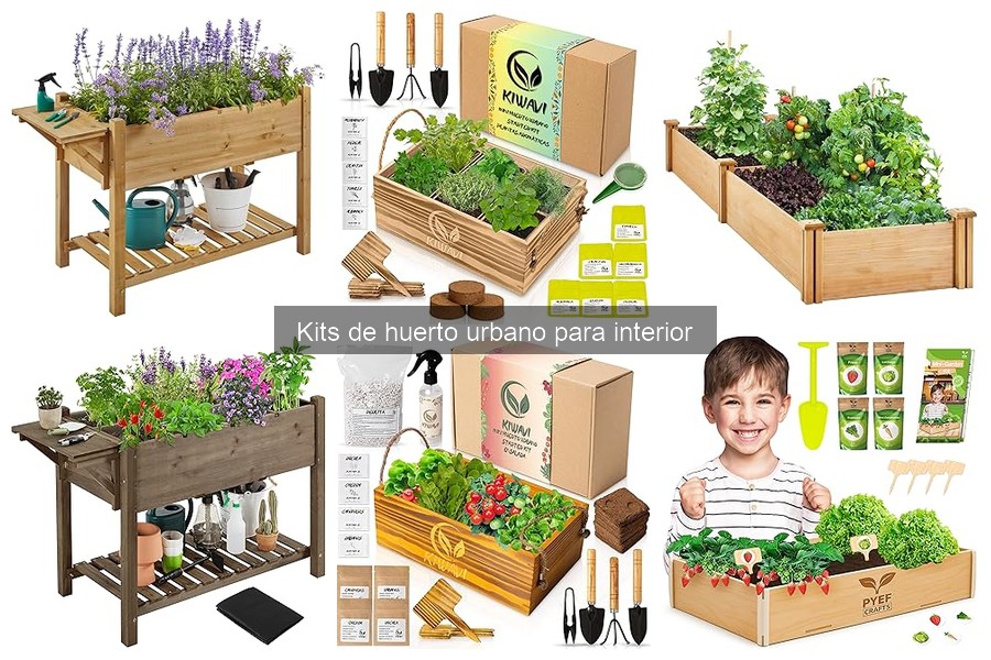 Ventajas de usar un kit de huerto urbano para interior