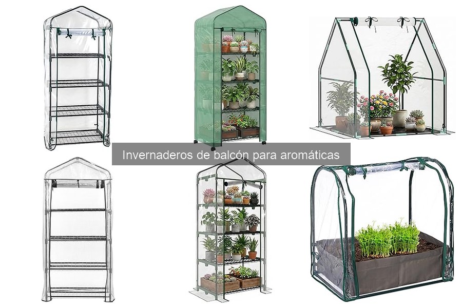 Ventajas y desventajas de invernaderos de balcón para aromáticas