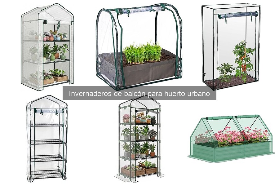 Ventajas y desventajas de invernaderos de balcón para huertos