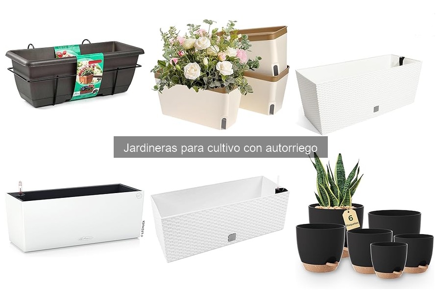 Ventajas y desventajas de jardineras con autorriego