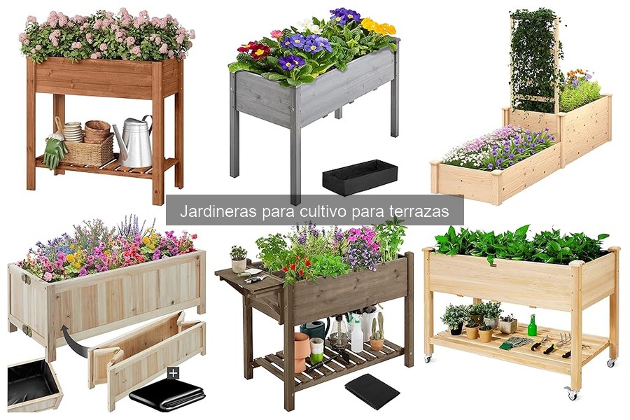 Ventajas y desventajas de jardineras para cultivo en terrazas