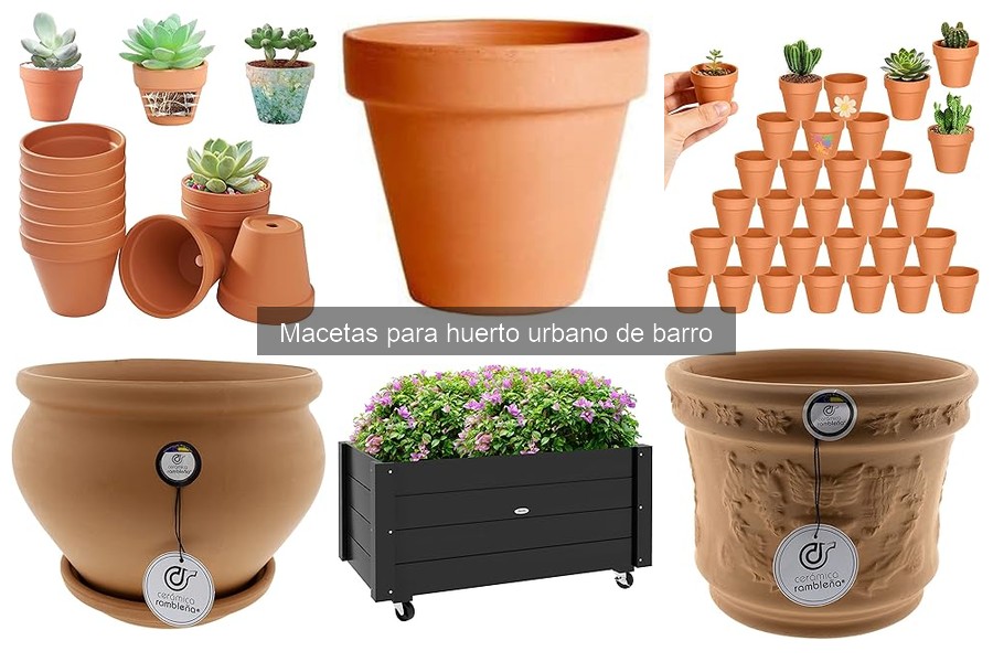 Ventajas y desventajas de las macetas de barro para huerto urbano