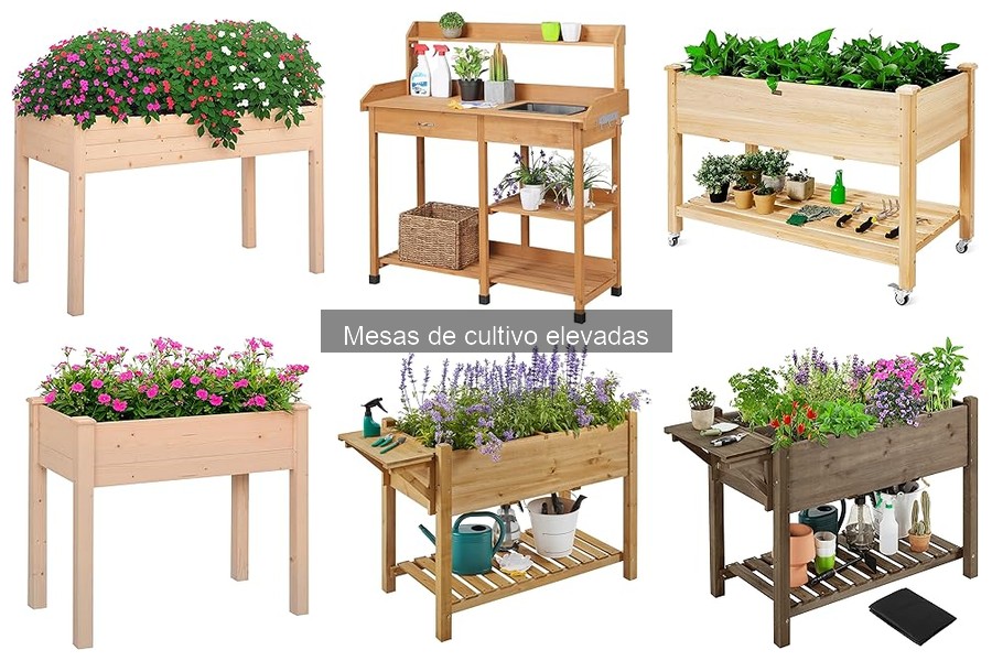 Ventajas y desventajas de las mesas de cultivo elevadas