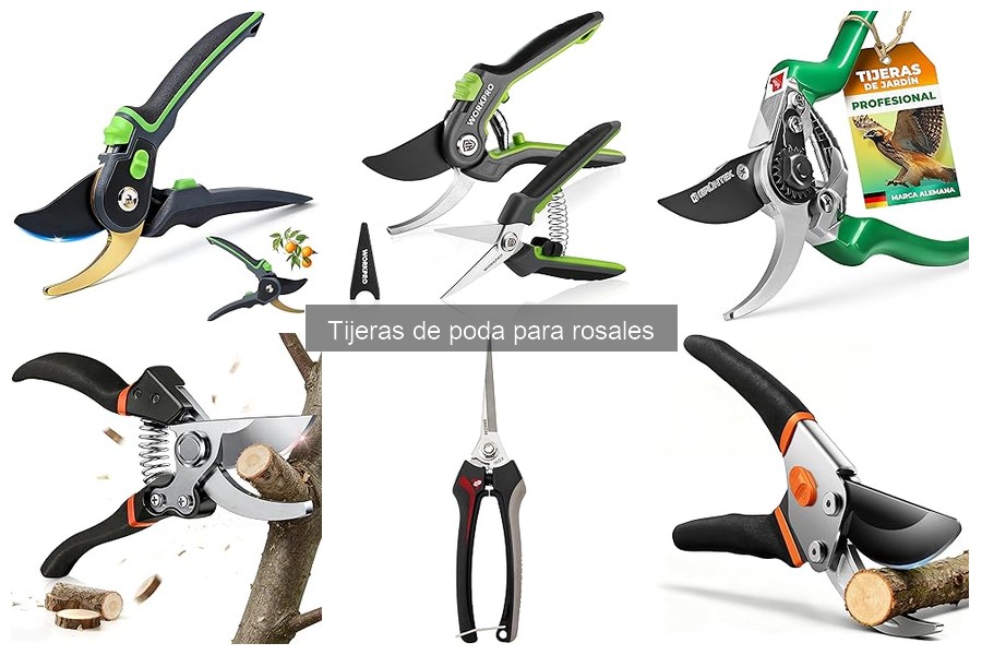 Ventajas y desventajas de las tijeras de poda para rosales