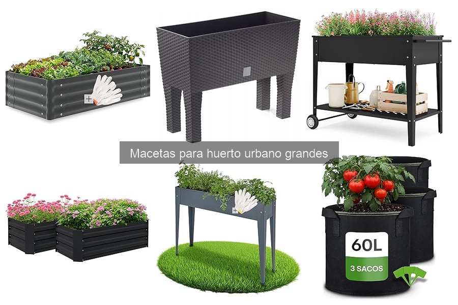 Ventajas y desventajas de macetas grandes para huerto urbano
