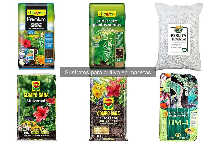 Ventajas y desventajas de sustratos específicos para cultivo