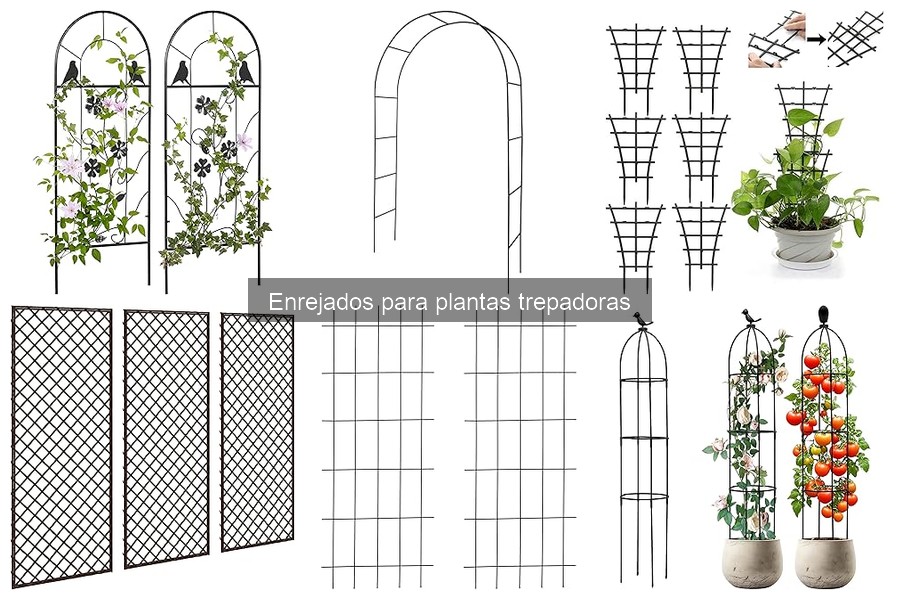 Ventajas y desventajas de usar enrejados para plantas trepadoras