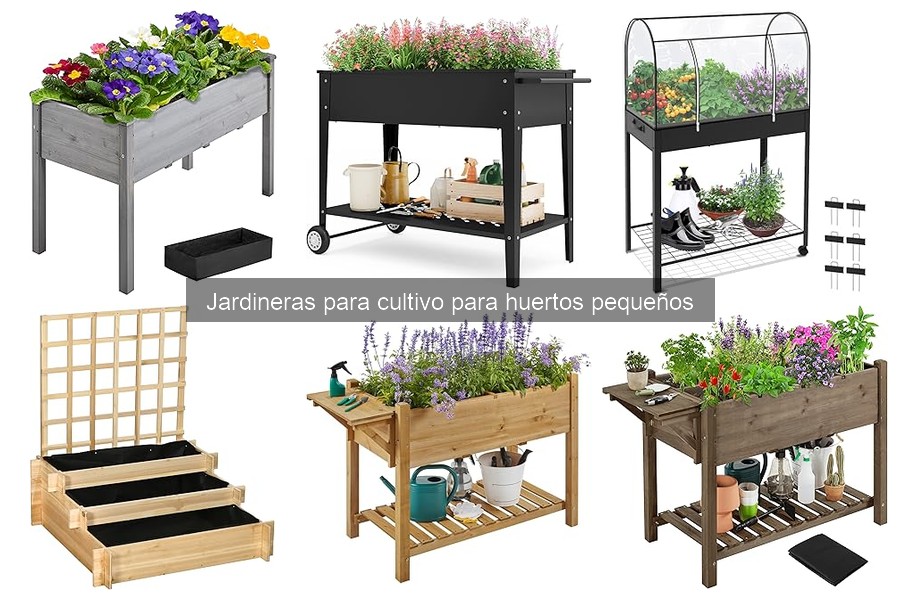 ** Ventajas y Desventajas de Usar Jardineras para Cultivo